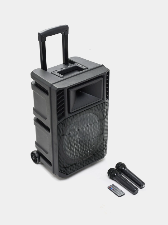 Bluetooth ZQS 12131 katta musiqiy kolonkasi, 2 mikrofon va rangli musiqa bilan, 50 sm