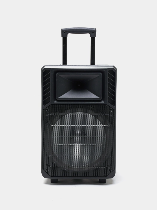 Bluetooth ZQS 12131 katta musiqiy kolonkasi, 2 mikrofon va rangli musiqa bilan, 50 sm