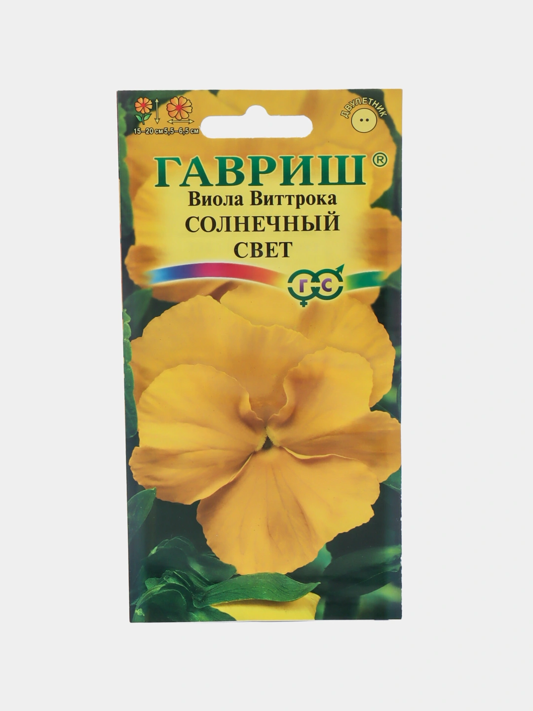 Виолла - солнечный день - 40 фото Виолла - солнечный день - 40 фото