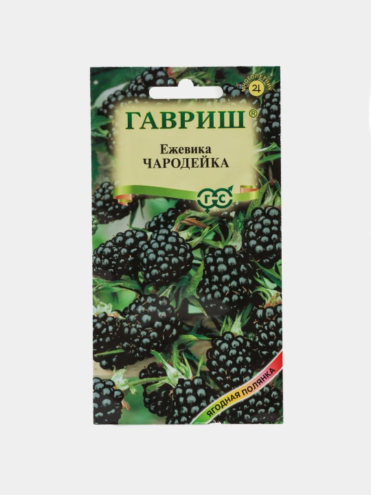 Семена, Ежевика Чародейка, 10 шт, Гавриш, Ягодная полянка 191021468
