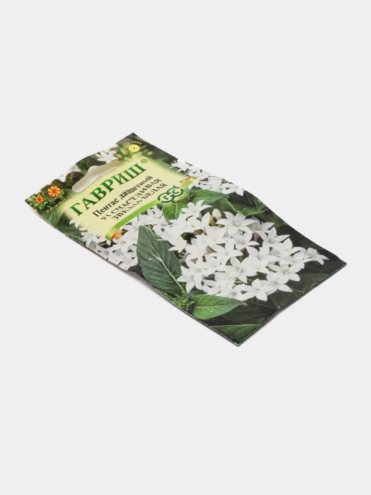 Pentas lanceolate urug'lari baxtli yulduz oq F1, 3 dona, 1071862668