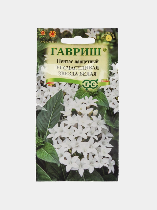 Pentas lanceolate urug'lari baxtli yulduz oq F1, 3 dona, 1071862668