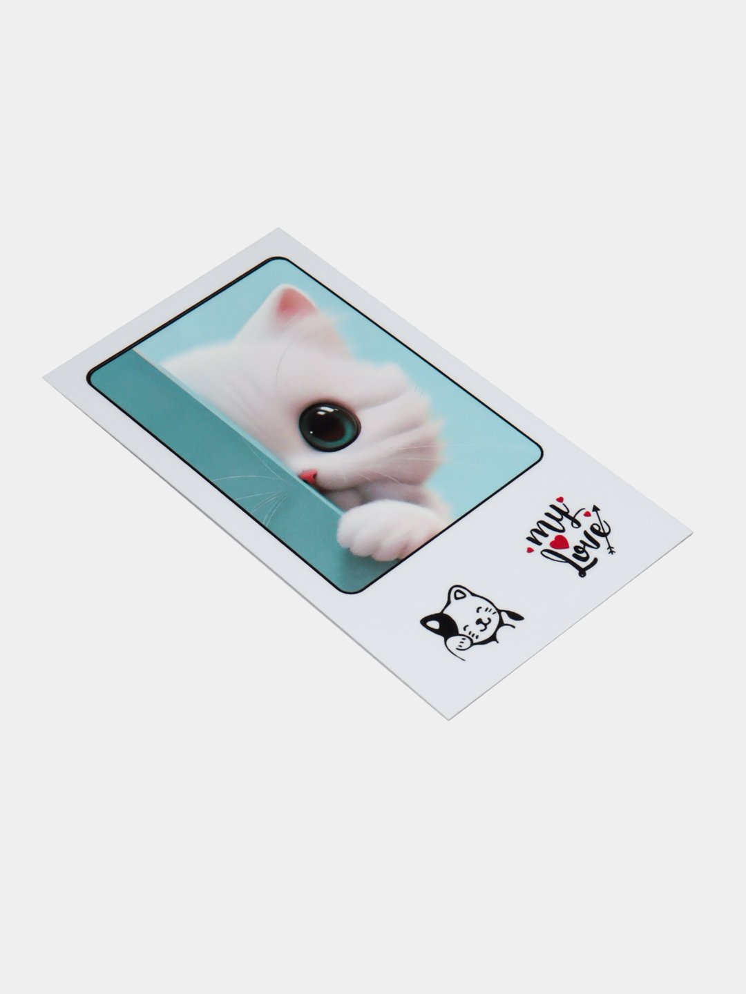 Mushuklarning ajoyib fotosuratlari Mushuklarning ajoyib fotosuratlari