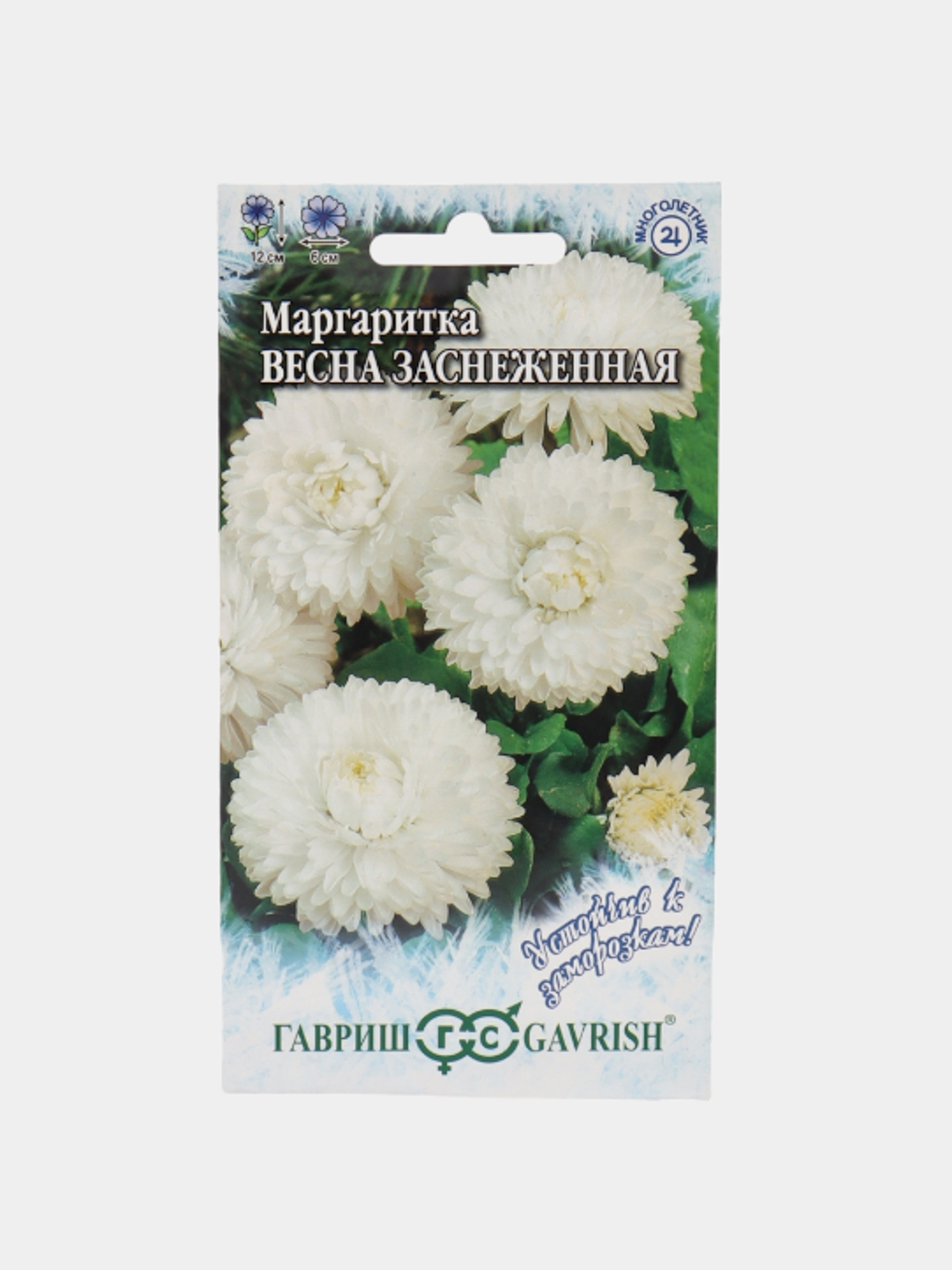 Маргаритки Семена Купить