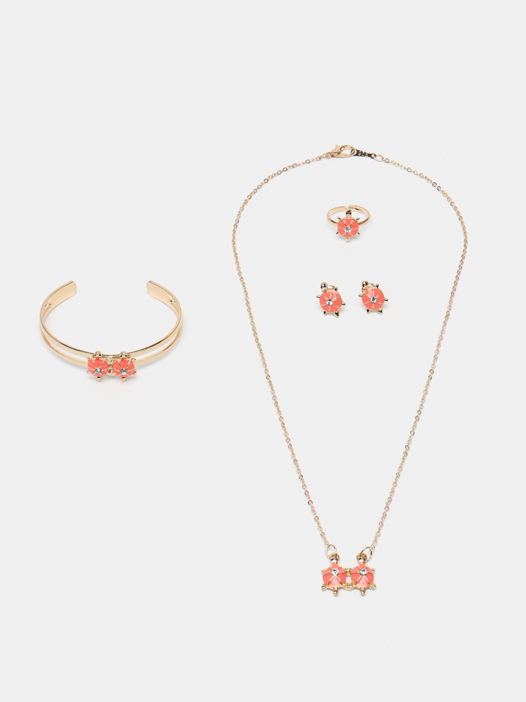 Koreyalik ayollar va ularning mushuklarining yaqindan suratlari