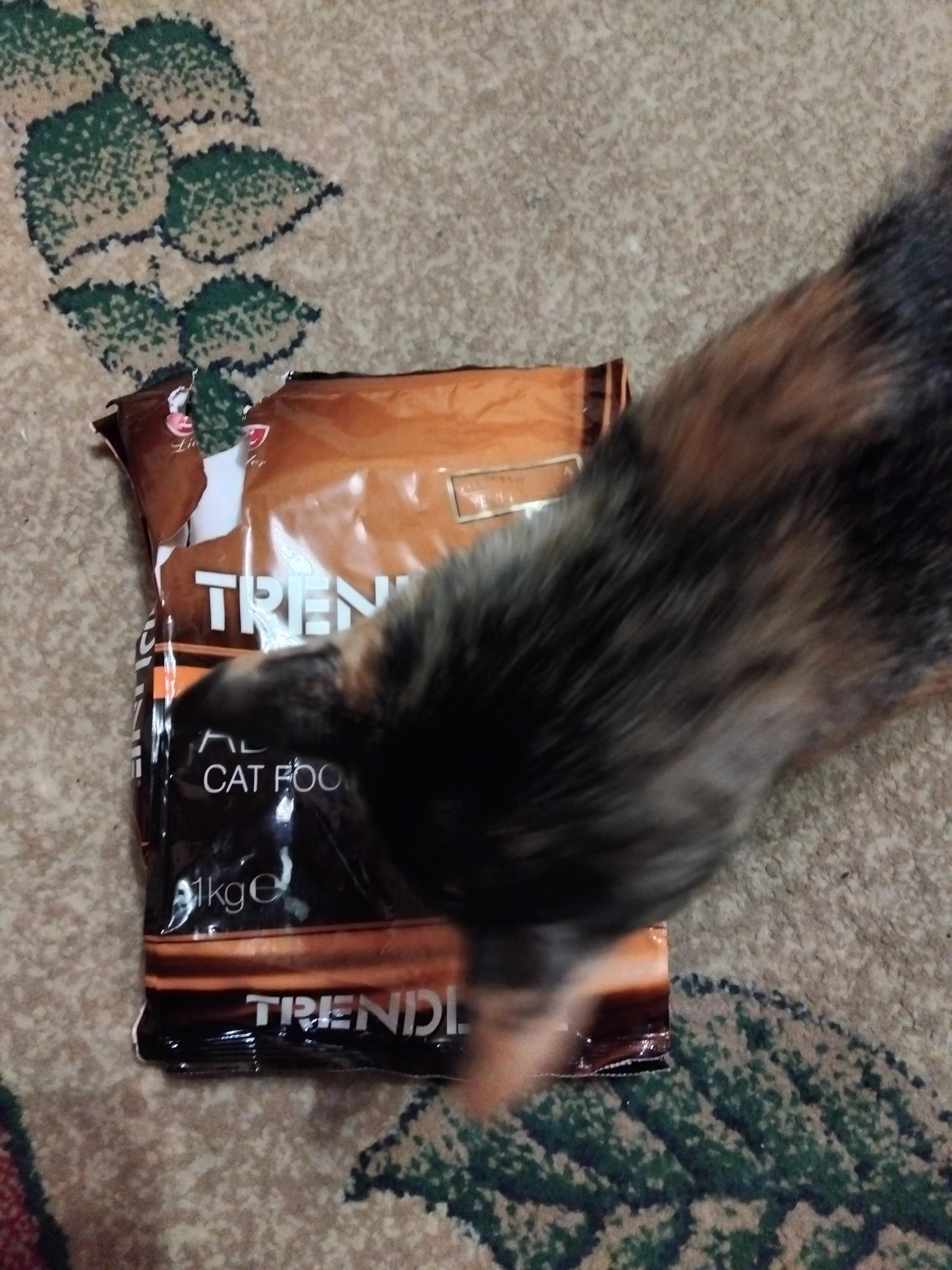 Trendline Premium katta yoshli mushuklar uchun qo‘zichoq go‘shtli quruq yem, 1 kg