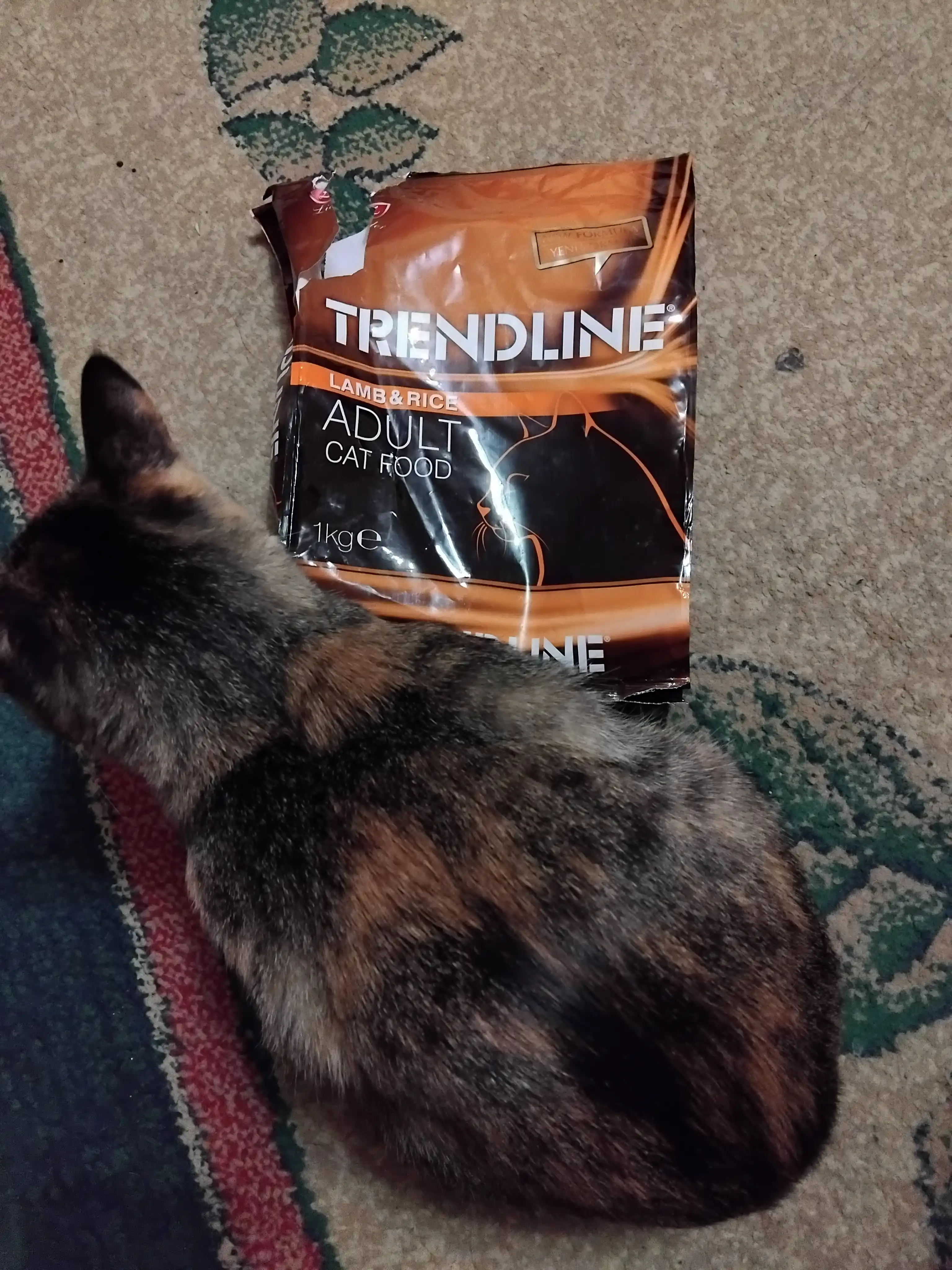 Trendline Premium katta yoshli mushuklar uchun qo‘zichoq go‘shtli quruq yem, 1 kg