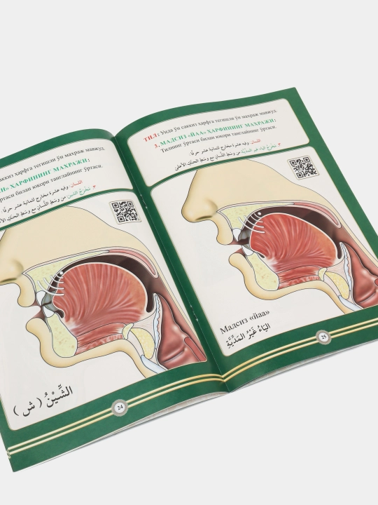 Arab harflarining maxrajlari, Doktor Ayman Rushdiy Suvayd
