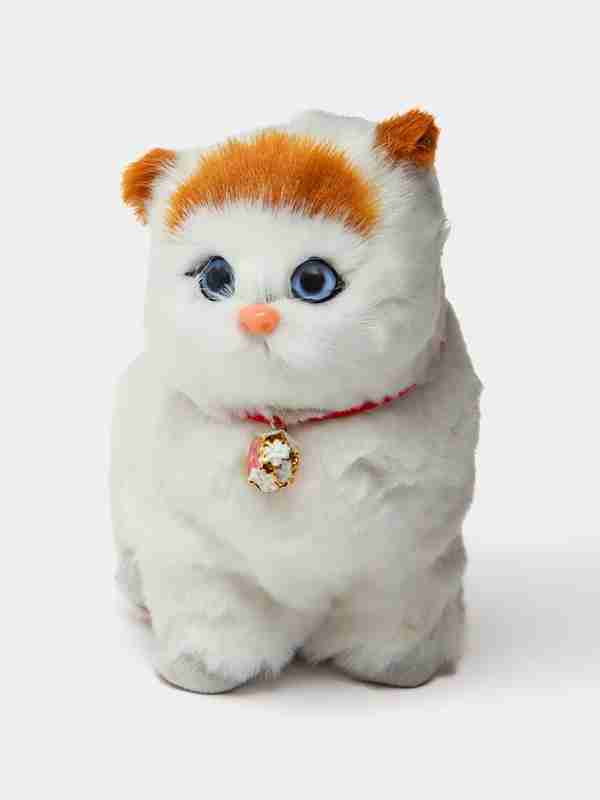 Shirin onalar xxx rasmlar Vaginal diafragmalar va servikal qopqoqlar