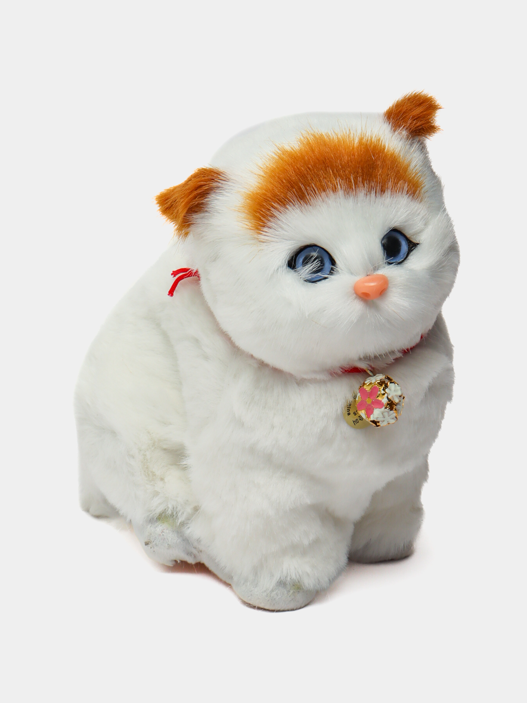 Tasmali paypoqdagi porno