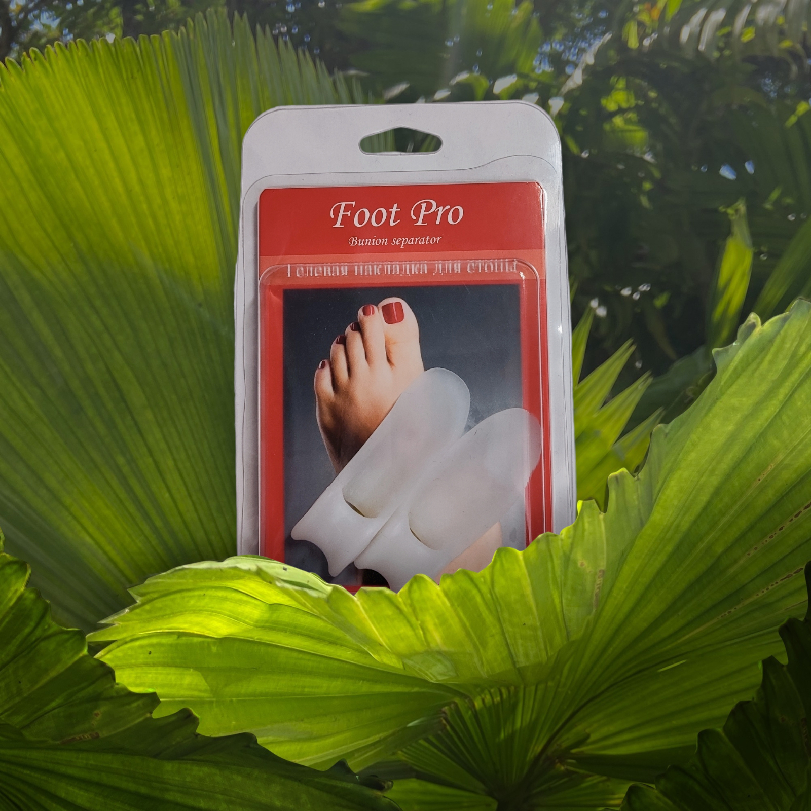 Xxx xotini bilan ortoqlashdi