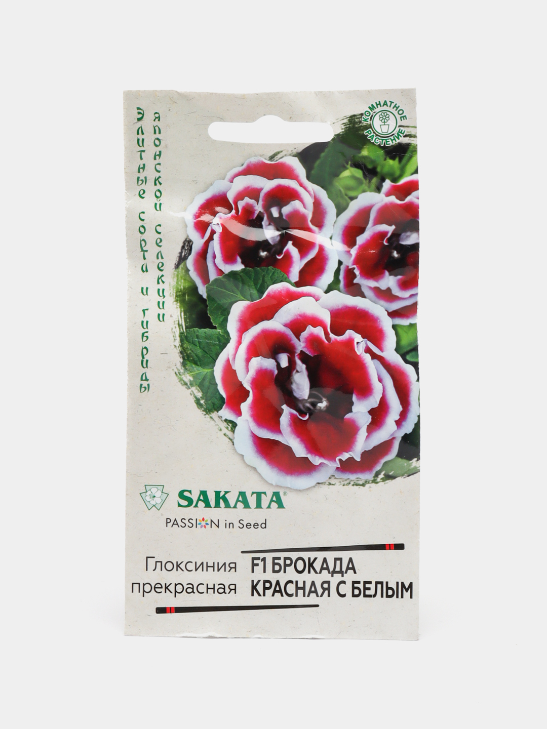 Bakida jinsiy aloqa Porno qiz yigitga tegadi