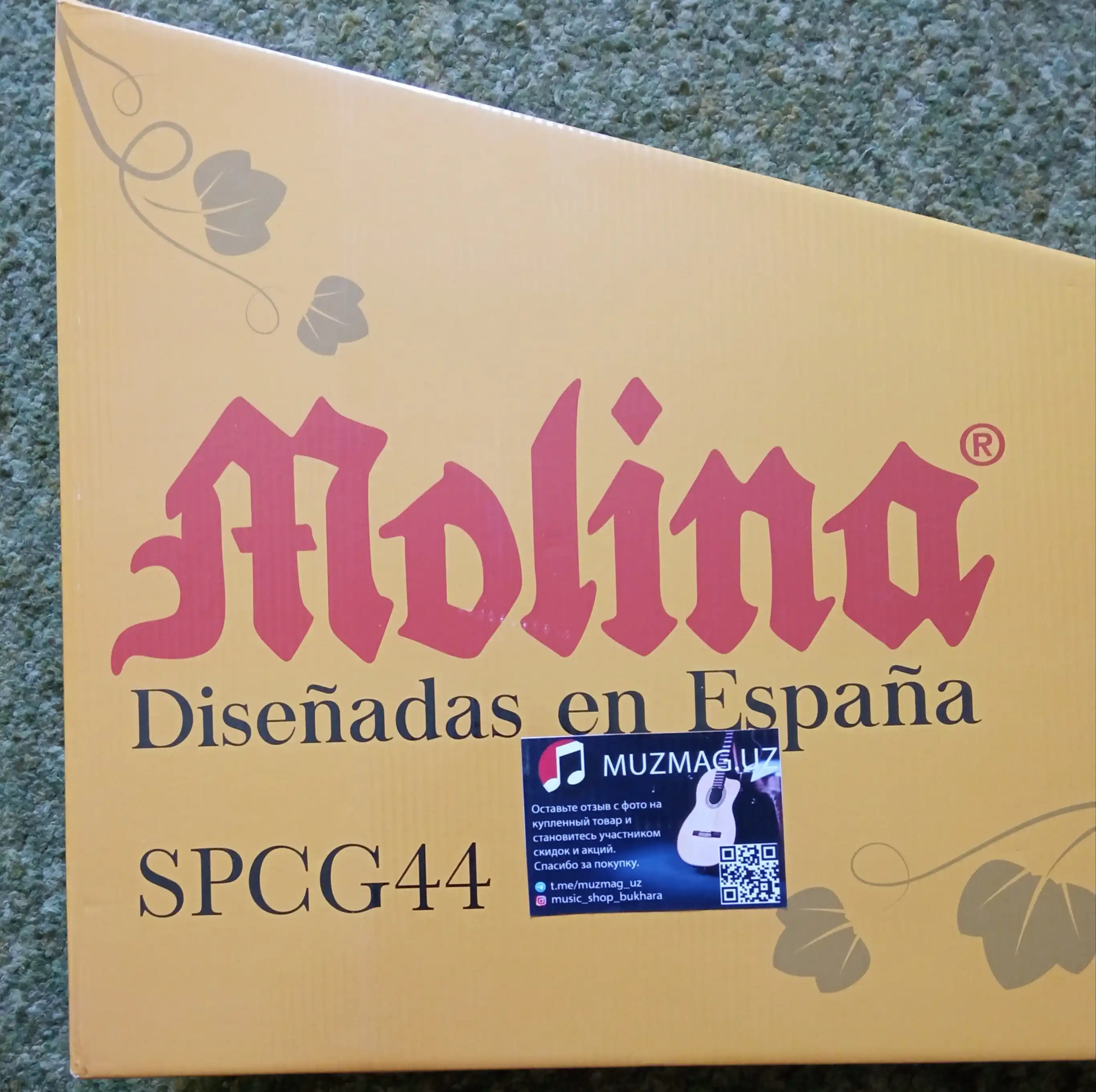 Ashton Molina klassik gitara "Ashton Molina", 39 o'lcham