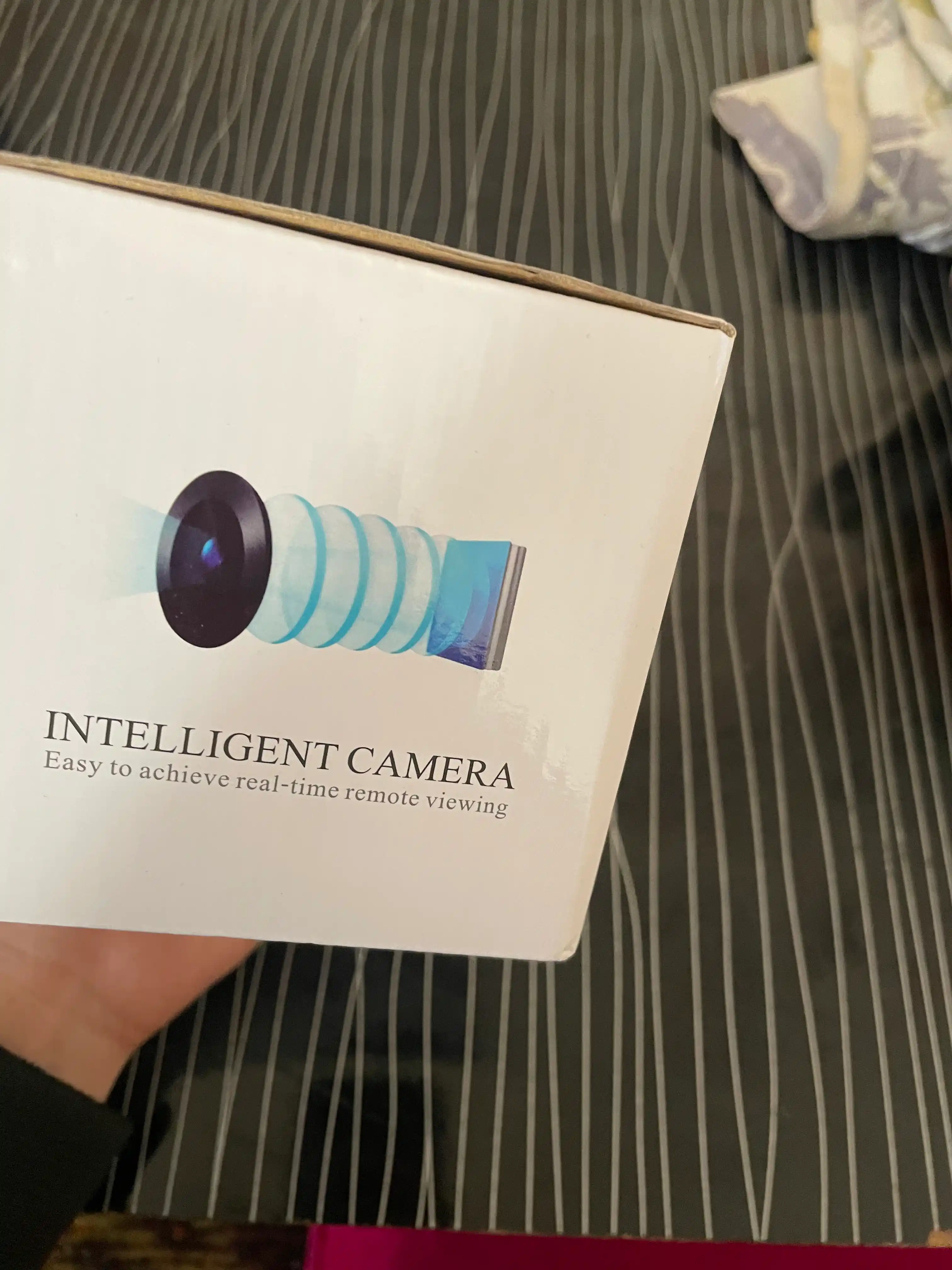 Камера IP видеонаблюдения PTZ 360 WiFi ICSee