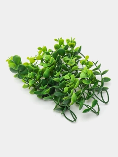 Feruza 