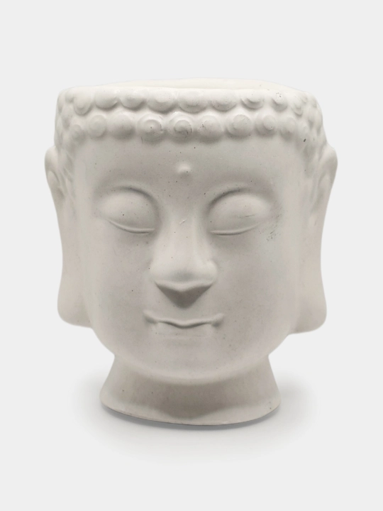 Kashpo "Budda boshi", podstavka va gul bilan to'plamda, va alohida