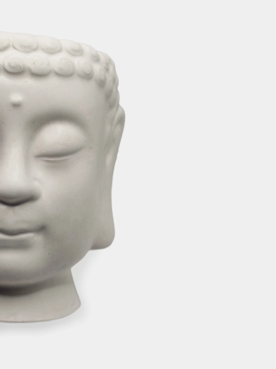 Kashpo "Budda boshi", podstavka va gul bilan to'plamda, va alohida