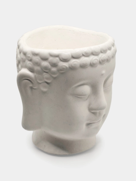Kashpo "Budda boshi", podstavka va gul bilan to'plamda, va alohida