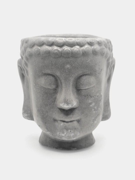 Kashpo "Budda boshi", podstavka va gul bilan to'plamda, va alohida