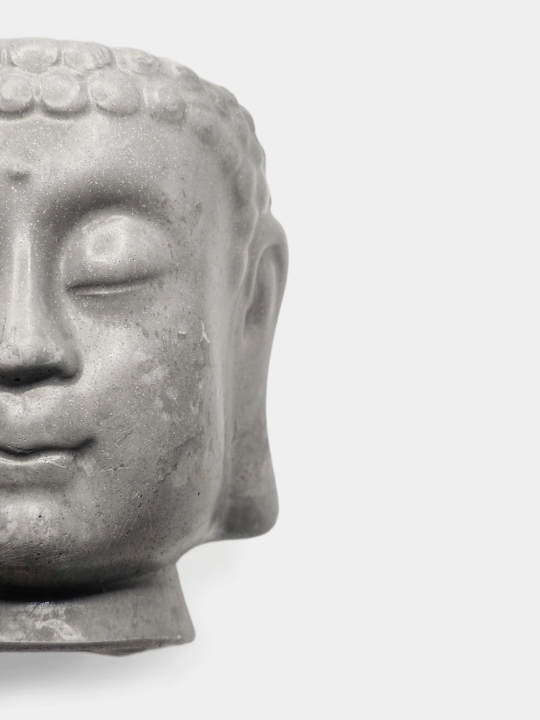Kashpo "Budda boshi", podstavka va gul bilan to'plamda, va alohida