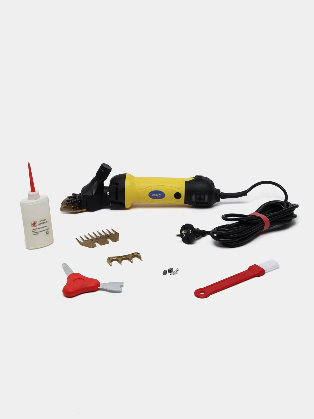 Erkaklar eshaklarida katta narsalar mavjud