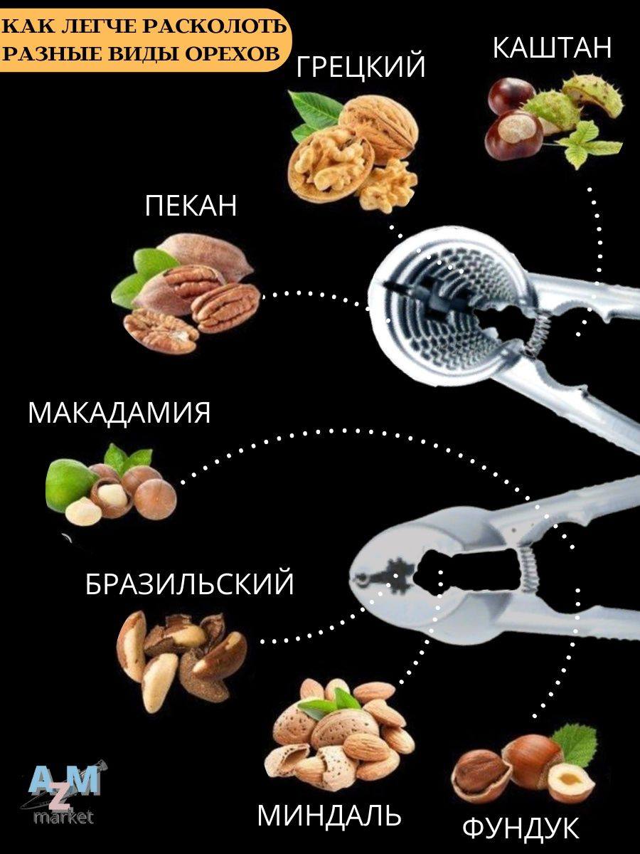 Орехокол универсальный для грецких орехов, фундука и кедровых купить по  низким ценам в интернет-магазине Uzum (973490)