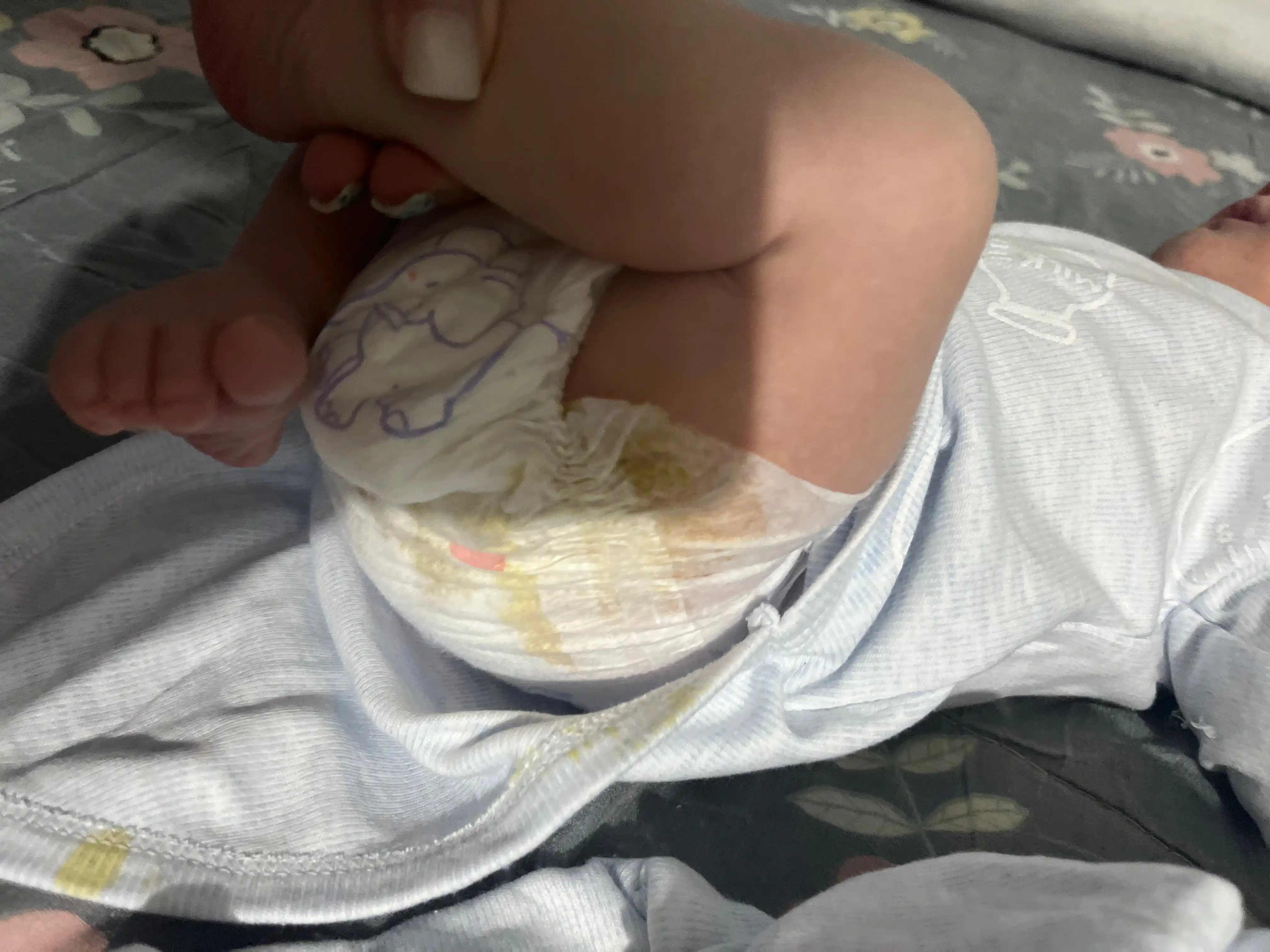 Подгузники Pipitto, 1 размер, 0-4 кг, 48 штук в упаковке
