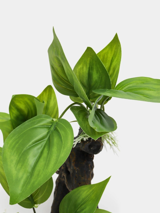 Dekoratsiya XY-6071 (banyan)