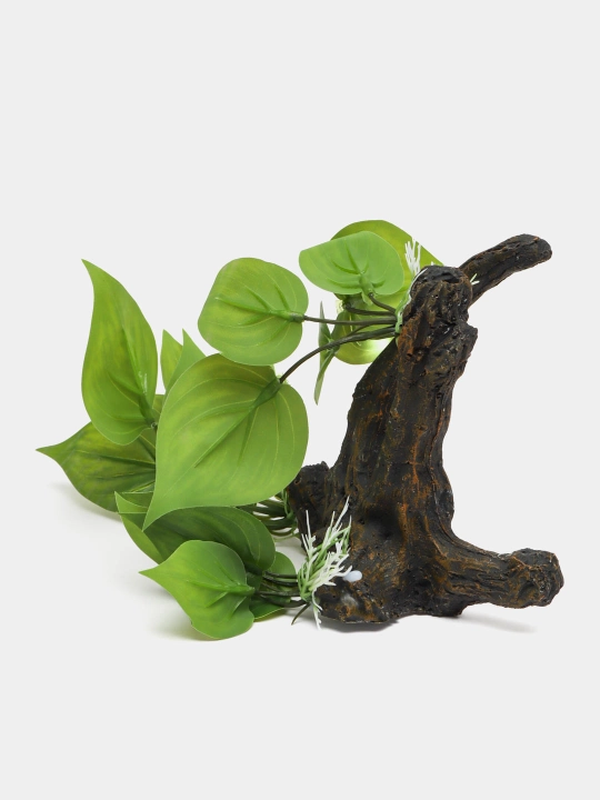 Dekoratsiya XY-6071 (banyan) - 