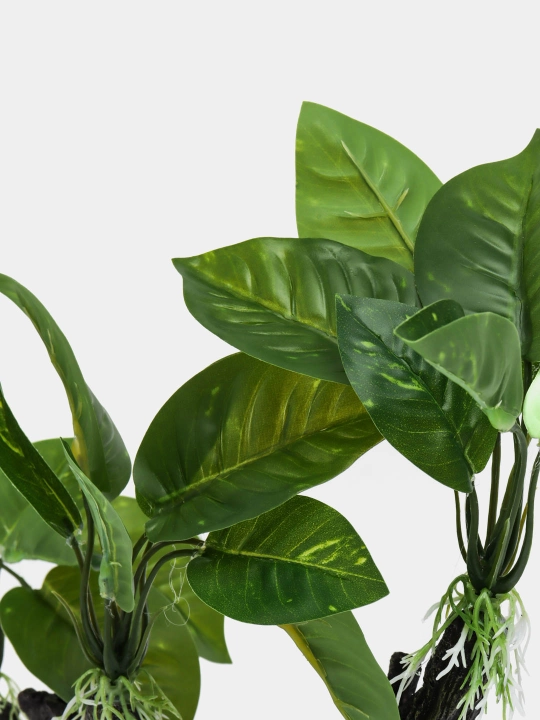 Akvarium uchun bezak, sun'iy o'simlik, banyan shoxchasi, XY 6017