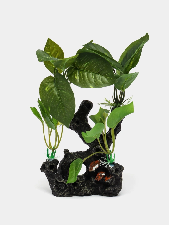 Dekoratsiya XY-6055 (banyan) - 
