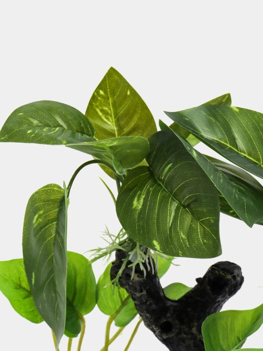 Dekoratsiya XY-6055 (banyan)