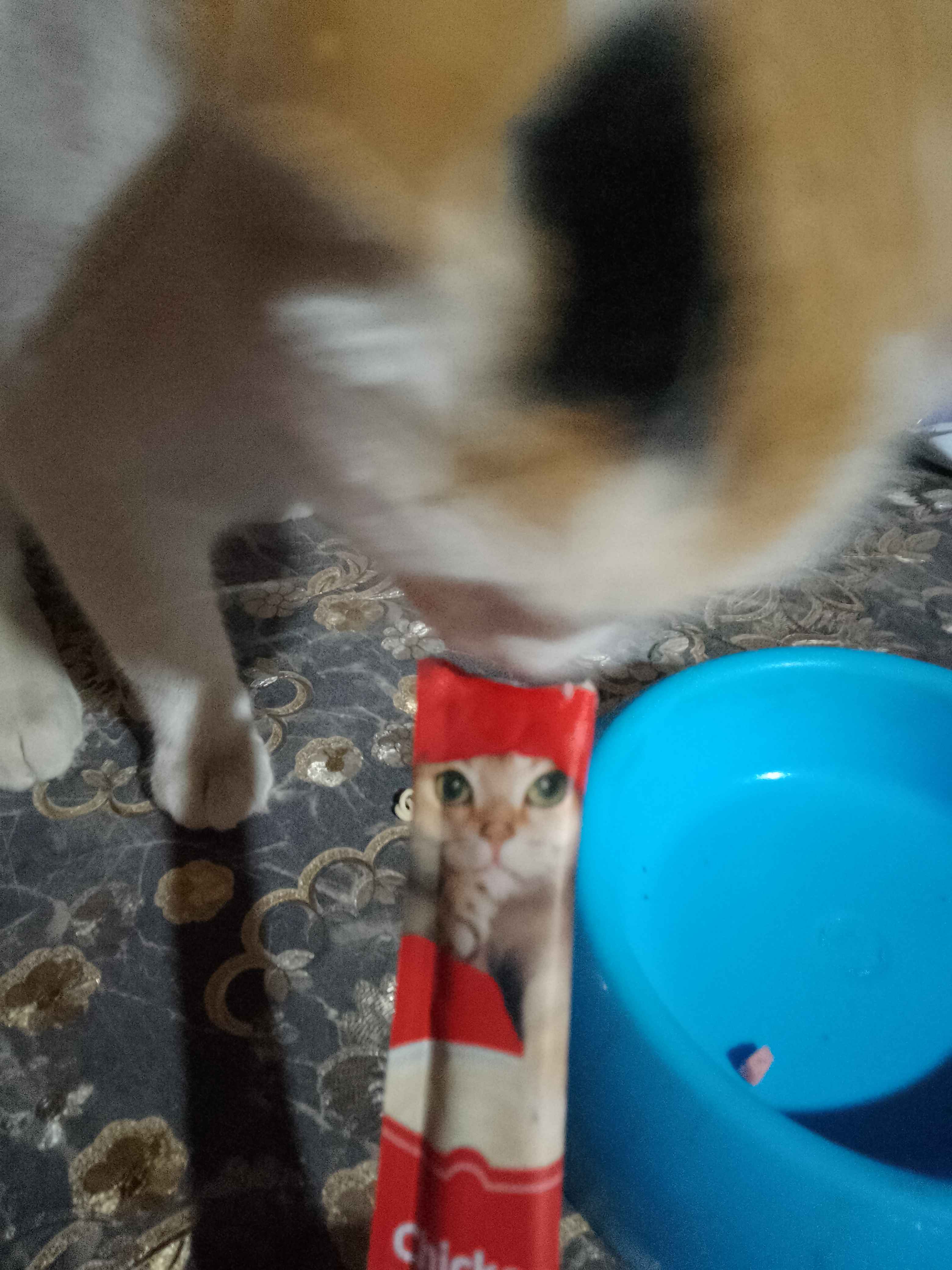 Magistral yolda porno tomosha qilish