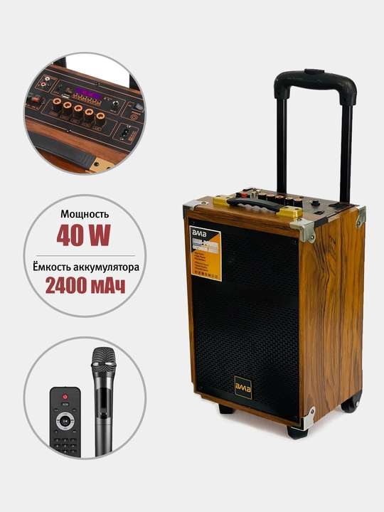 Portativ kalonka karaoke BAAB bluetooth simsiz mikrafon va boshqaruv pultga ega
