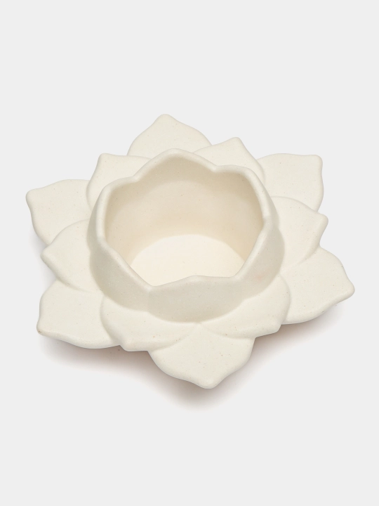 Shamdon sehrli lotus,  sovg‘a sifatida qadoqlangan