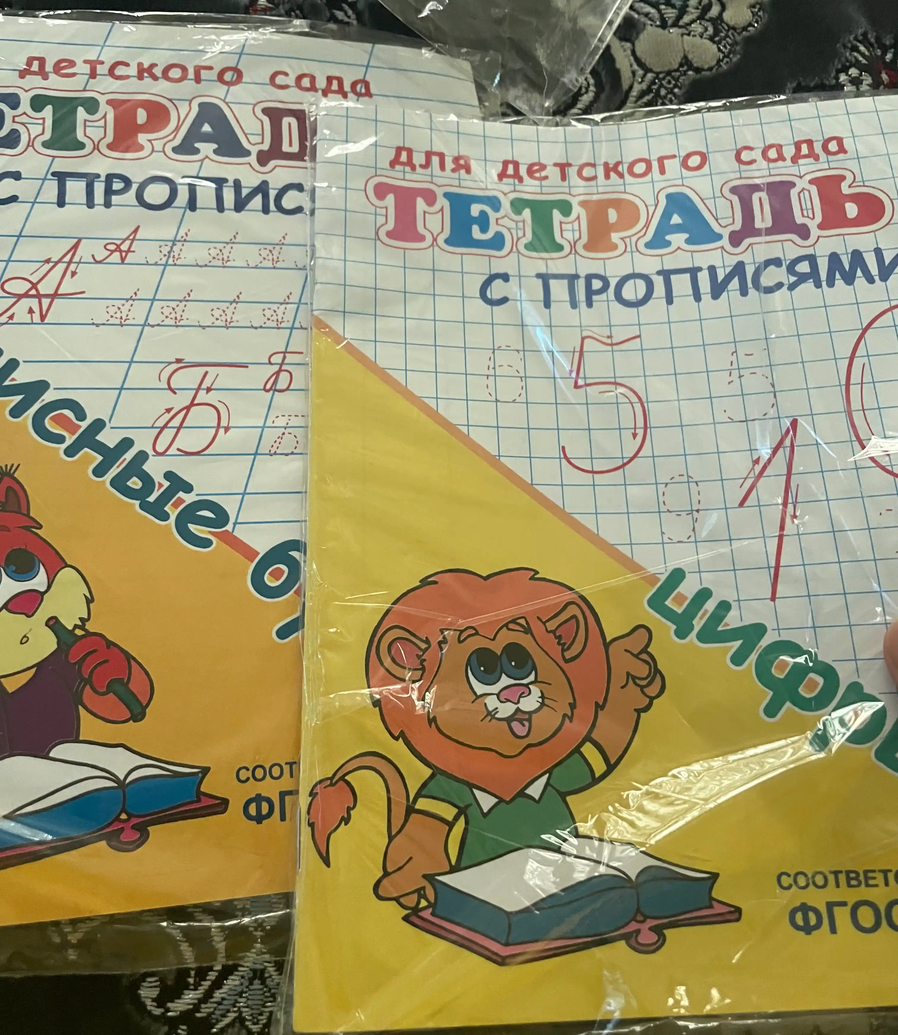 Набор из 5 штук, тетрадь с прописями, прописные буквы