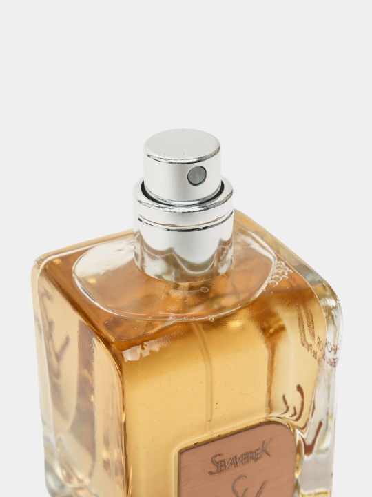 Парфюмерная вода SEVAVEREK, №5019, Hermès Terre d'Hermès, духи для мужчин, 50 мл