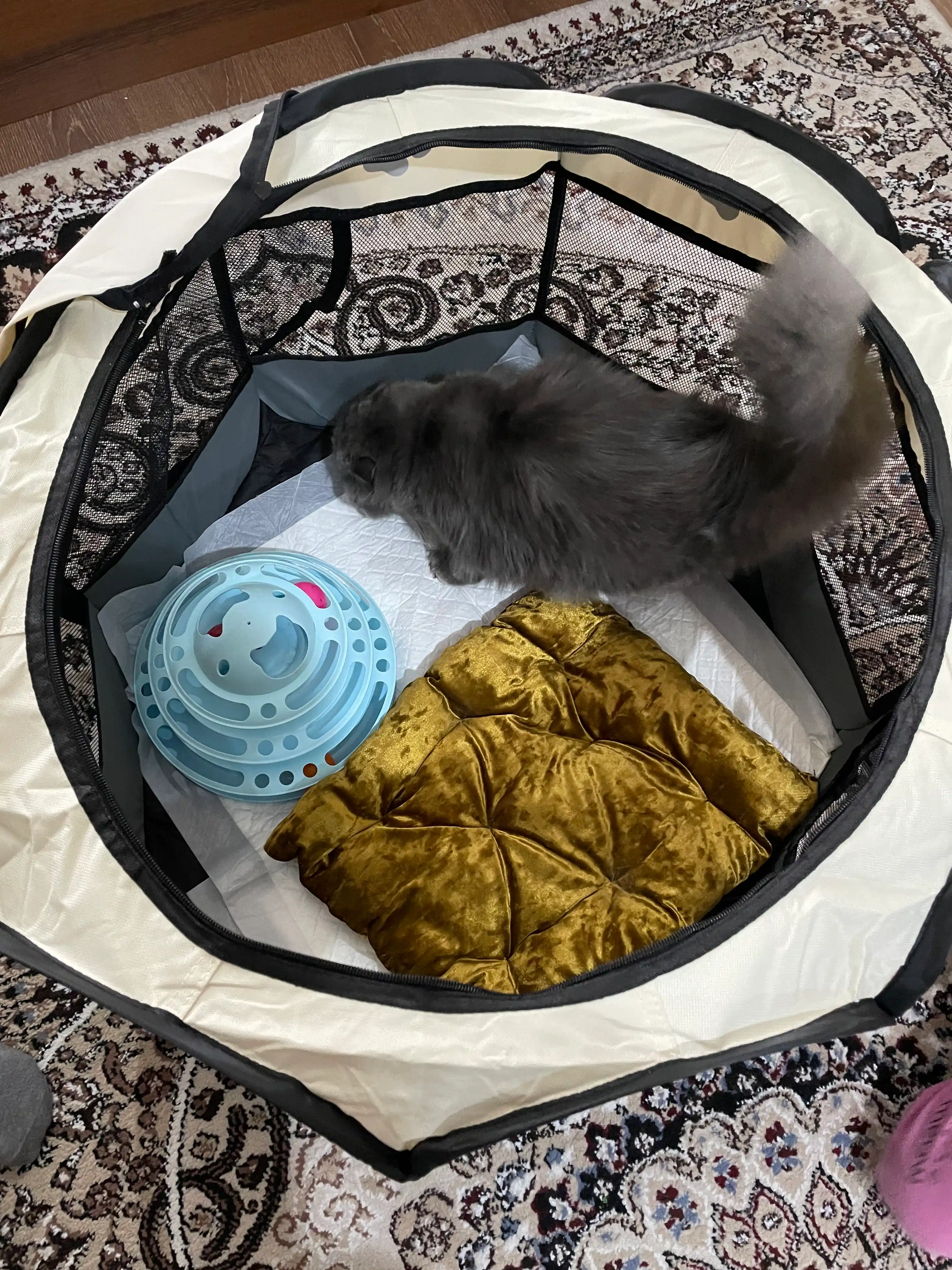 Mushuklar va itlar uchun buklanadigan volyer-manej tent, S-M-L