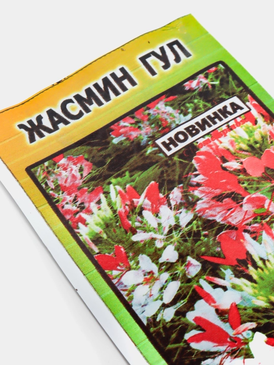 Семена цветов, Георгина, Гваздика, Беоргул, Жасмин, Урис гул, Красная стрела