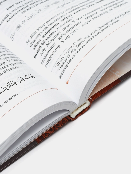 Rasul sollallohu alayhi vasallam hadislaridagi nodir asllar, Muhammad Sodiq Muhammad Yusuf