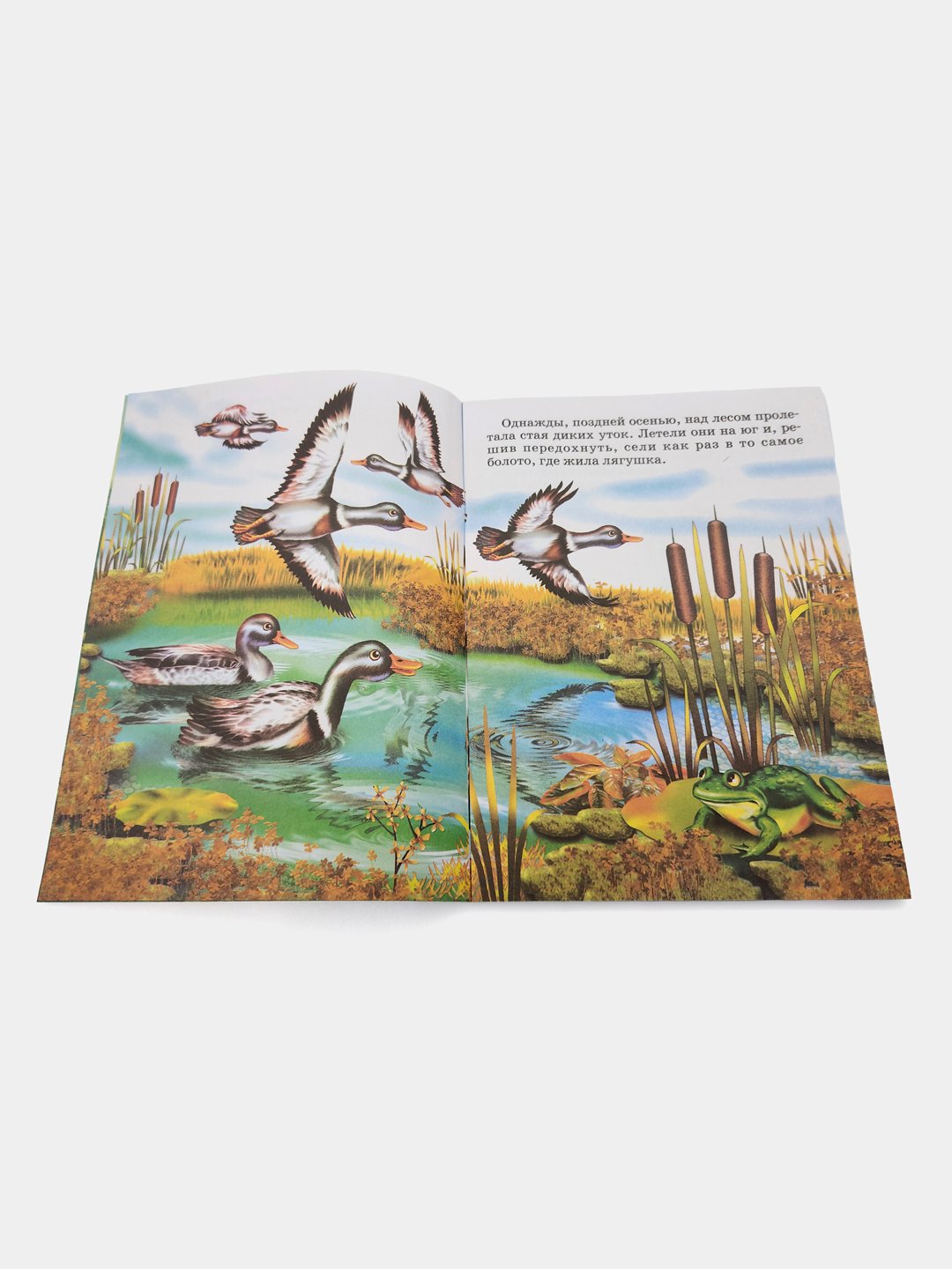 Трансвеститтер жыныстық қатынасқа түседі