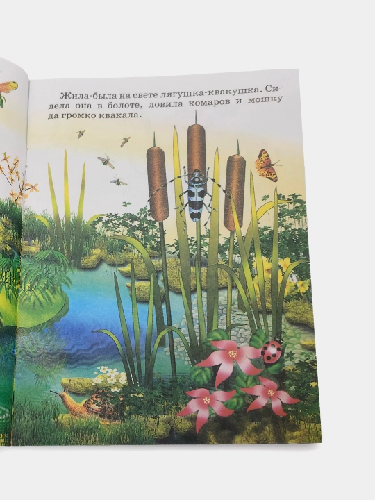 Lyagushka-puteshestvennitsa, Narodnaya skazka, seriya "Skazki-mini"