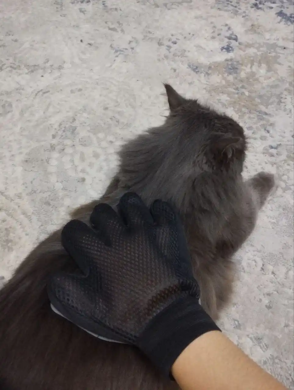 Mushuk va itlarning junini tarash uchun taroq-qo‘lqop, grooming tarog‘i