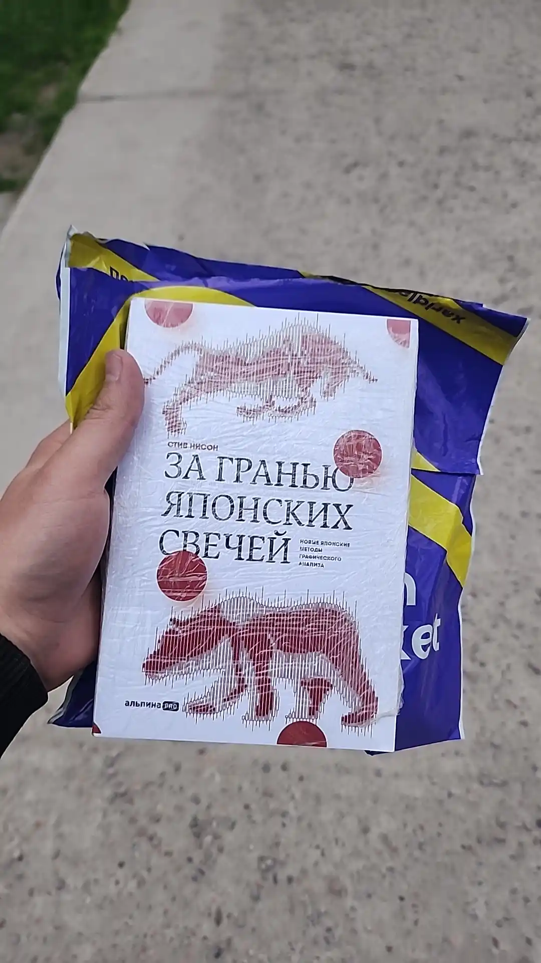 За гранью японских свечей. Новые японские методы графического анализа, Стив Нисон