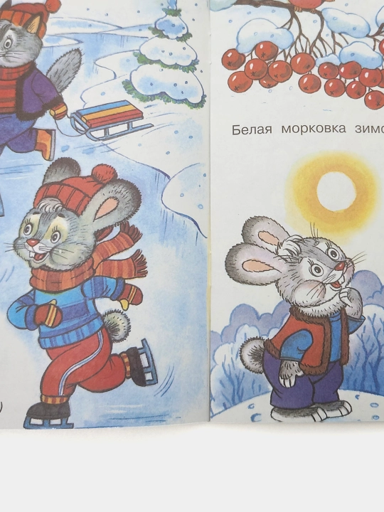 Zimoy i letom odnim tsvetom, Seriya, Zagadki dlya malyshey