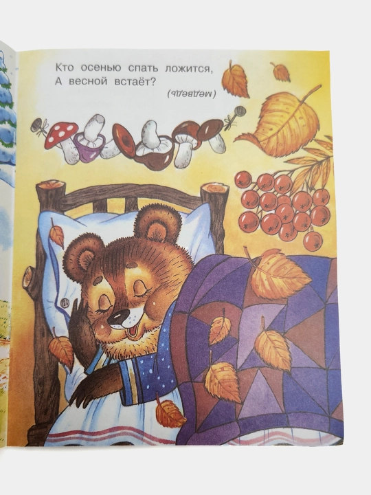 Zimoy i letom odnim tsvetom, Seriya, Zagadki dlya malyshey