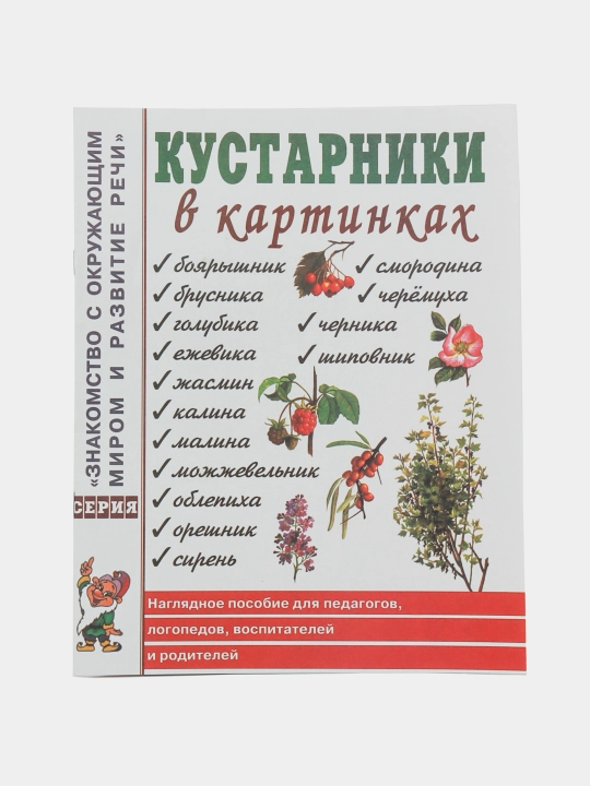 Kustarniki v kartinkakh, Naglyadnoye posobiye dlya pedagogov, logopedov i roditeley - 