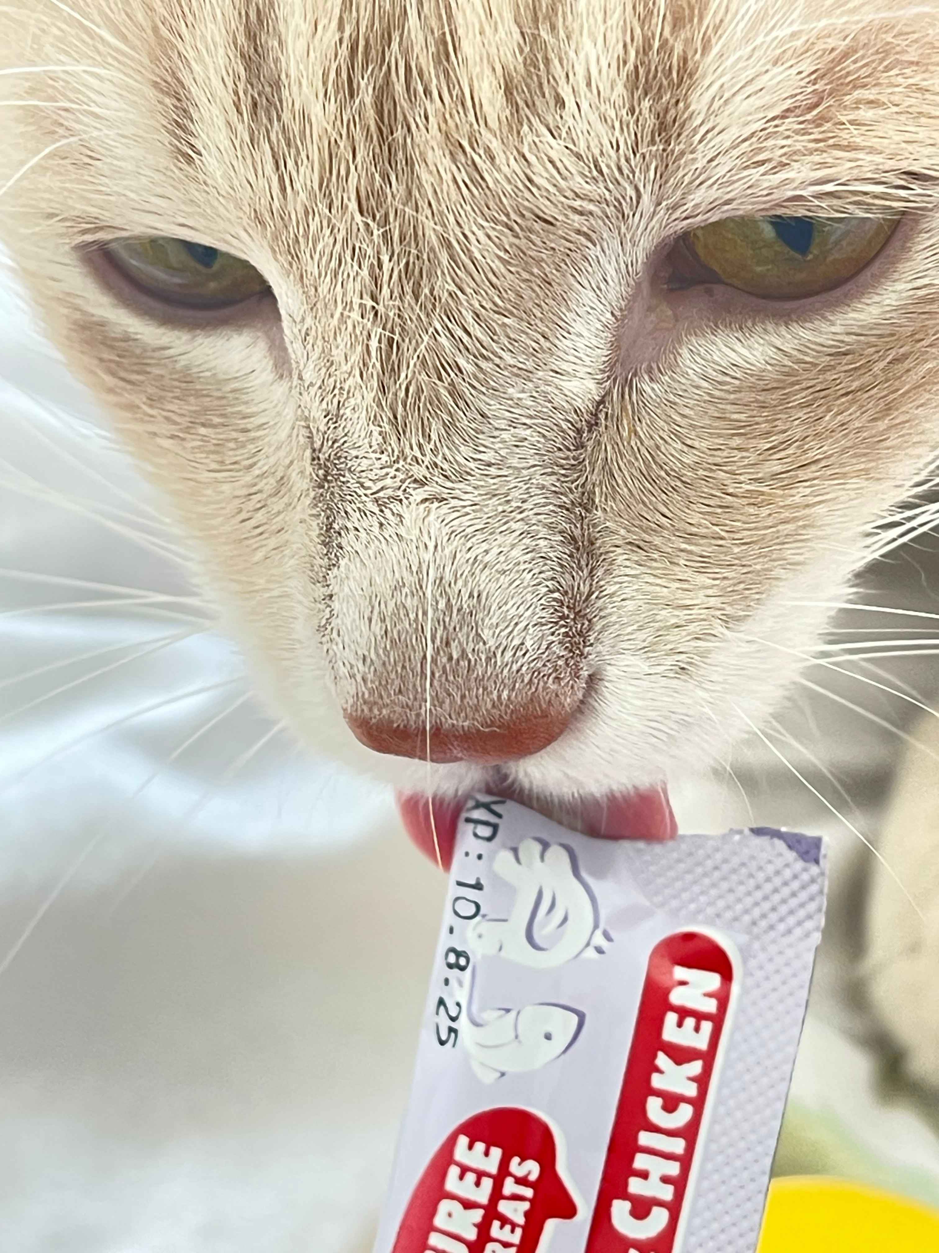 Cunnilingus turkumidagi videolar Uxlayotgan yalangoch erkaklar fotosuratlari