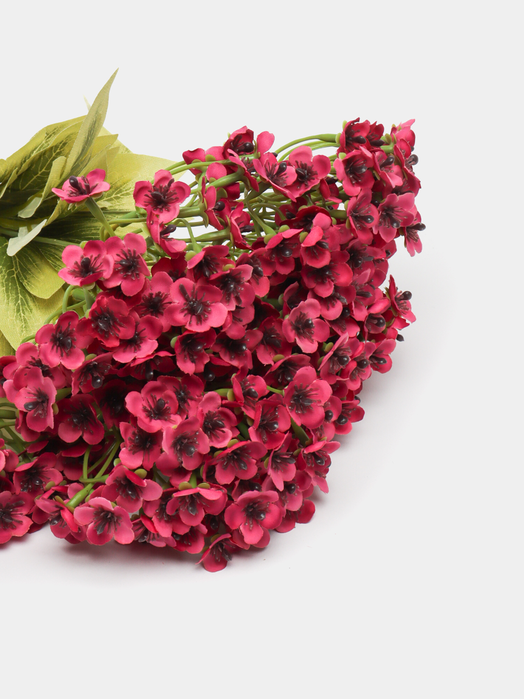 issiq milf yalangoch plyaj