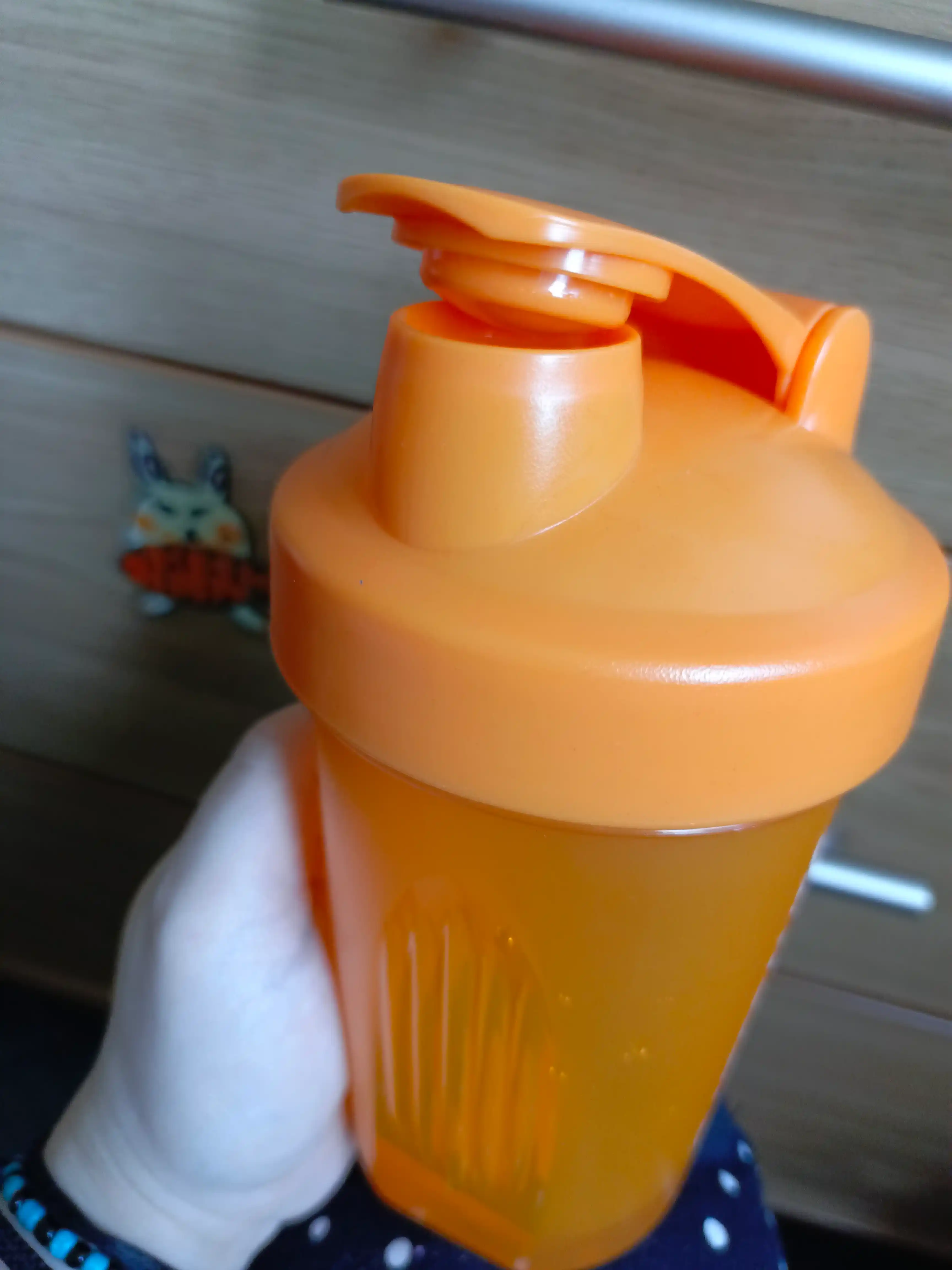 Sheyker sport uchun idish, 500 / 600 ml